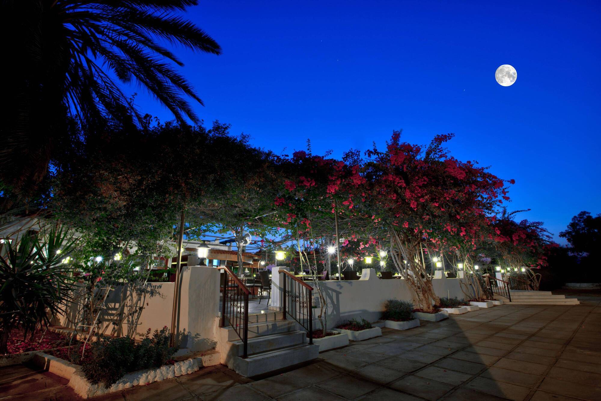 Merit Cyprus Gardens Holiday Famaguszta Kültér fotó